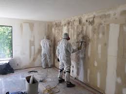 Why You Should Choose Our Mold Remediation Services in Kaunakakai, HI